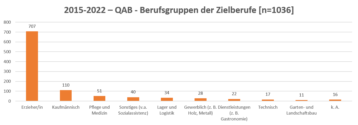 Grafik zur Verteilung der Zielberufe: 
707 Erzieher:innen
110 Kaufmännisch
51 Pflege und Medizin
40 Sonstige (v.a. Sozialassistenzen)
34 Lager und Logistik
28 Gewerblich (Holz, Metall)
22 Dienstleistungen (z.B. Gastronomie)
17 Technisch
11 Garten- und Landschaftsbauer
16 keine Angabe
